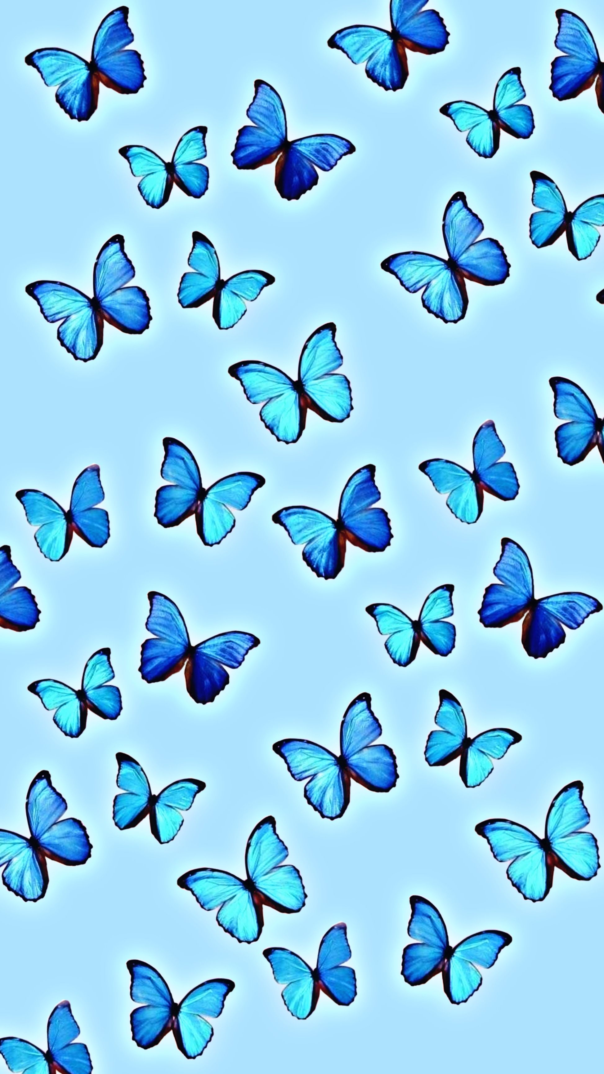 1950x3470 Aesthetic Blue Butterfly Wallpaper, Phone