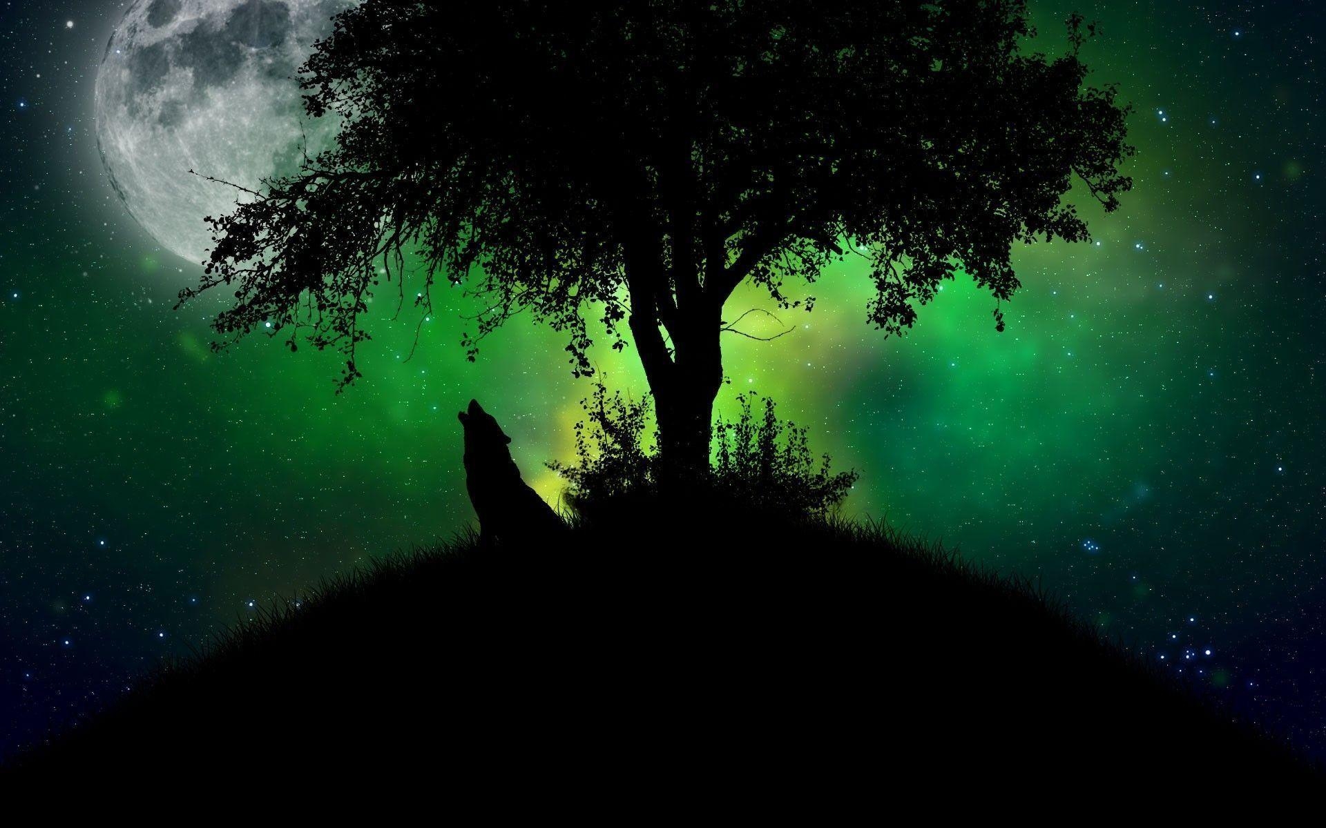 1920x1200 Best Free Wolf Aurora Wallpaper, Desktop