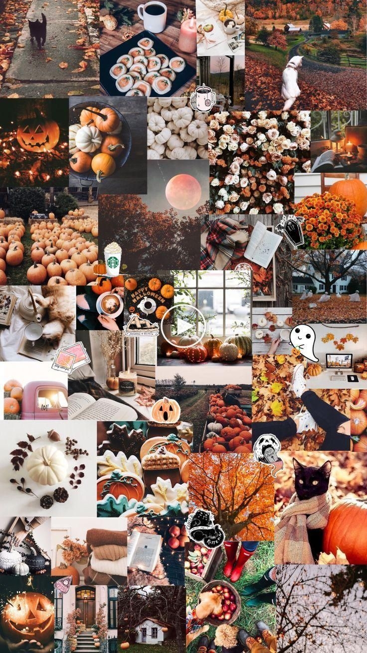 740x1310 Fall / Halloween Aesthetic Background - #Aesthetic #Halloween #hallow. Cute fall wallpaper, Halloween wallpaper, Halloween wallpaper iphone, Phone