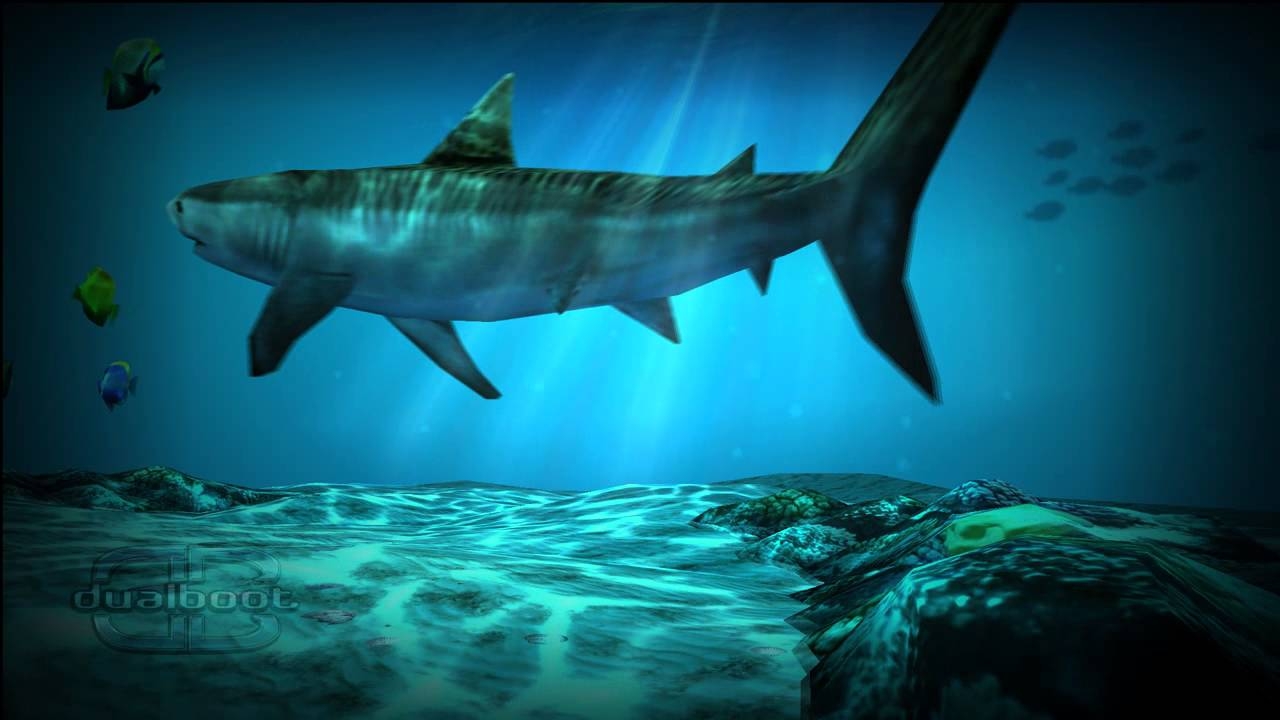 1280x720 Shark Pack' For Ocean HD Live Wallpaper.youtube.com, Desktop