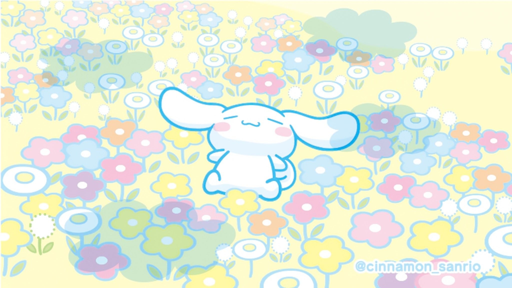 2050x1160 Cinnamoroll ideas. sanrio wallpaper, sanrio characters, hello kitty, Desktop