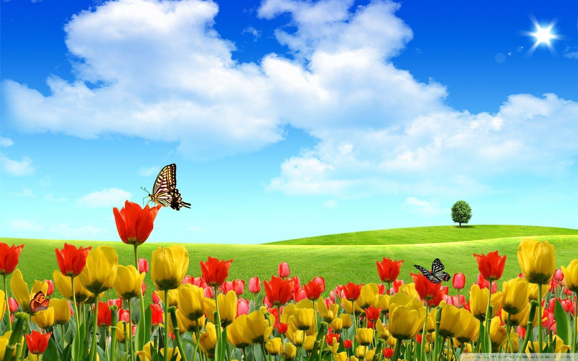 1920x1200 Spring Desktop Wallpaper Collection, Desktop