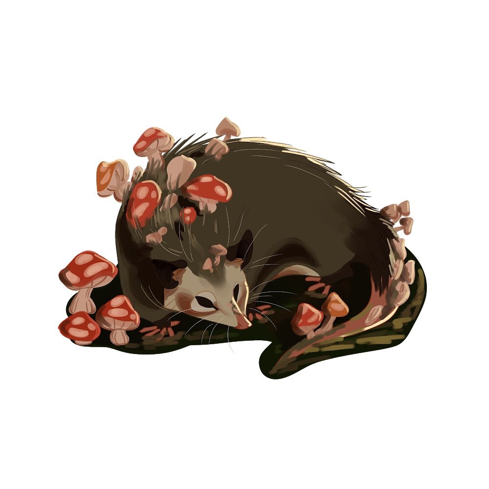 1000x1000 MUSHROOM OPOSSUM By Rry Dawg. Redbubble. Opossum, Art, Artwork, Phone