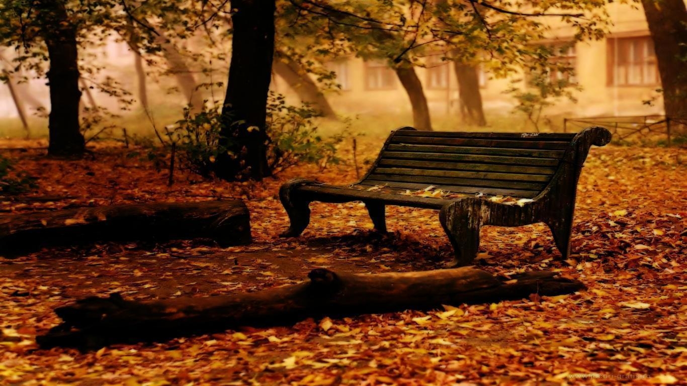 1370x770 Autumn Scenery HD Wallpaper Wallpaper Inn, Desktop