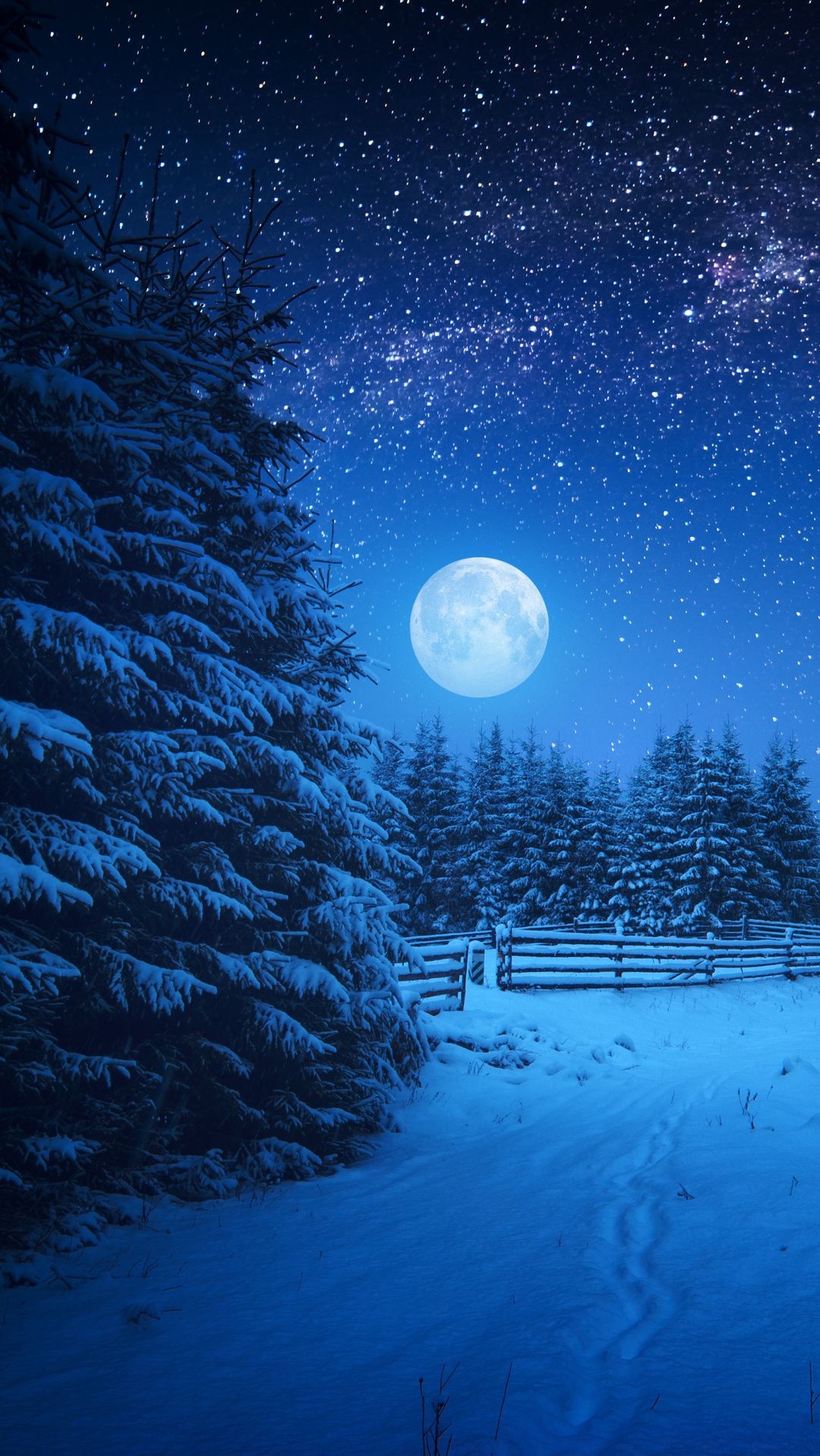 1080x1920 Full Moon Night in Winter Season Wallpaper, Phone