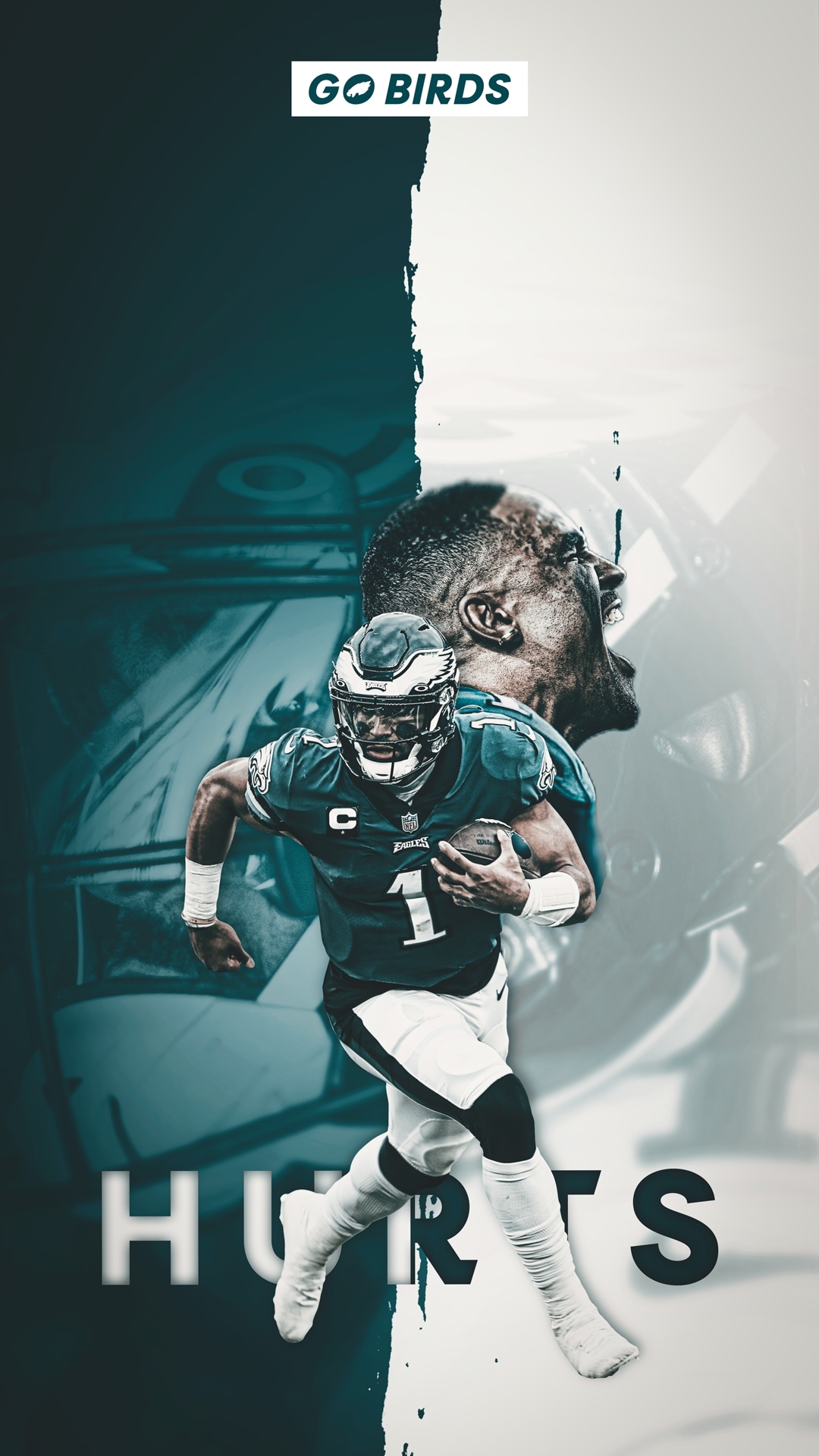 1080x1920 Eagles Wallpaper, Phone