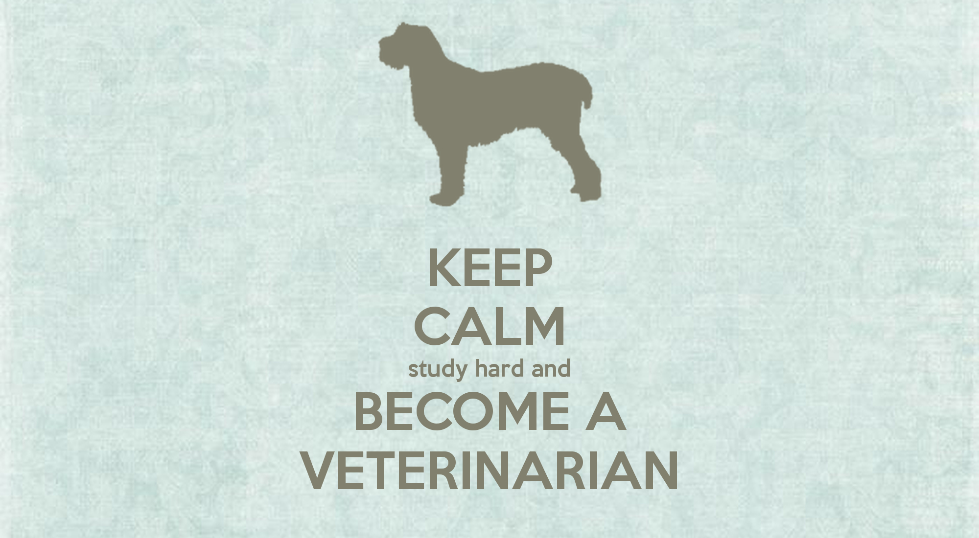 2000x1100 Veterinarian Wallpaper. Veterinarian Wallpaper, Veterinarian Vet Wallpaper and Veterinarian Horse Wallpaper, Desktop