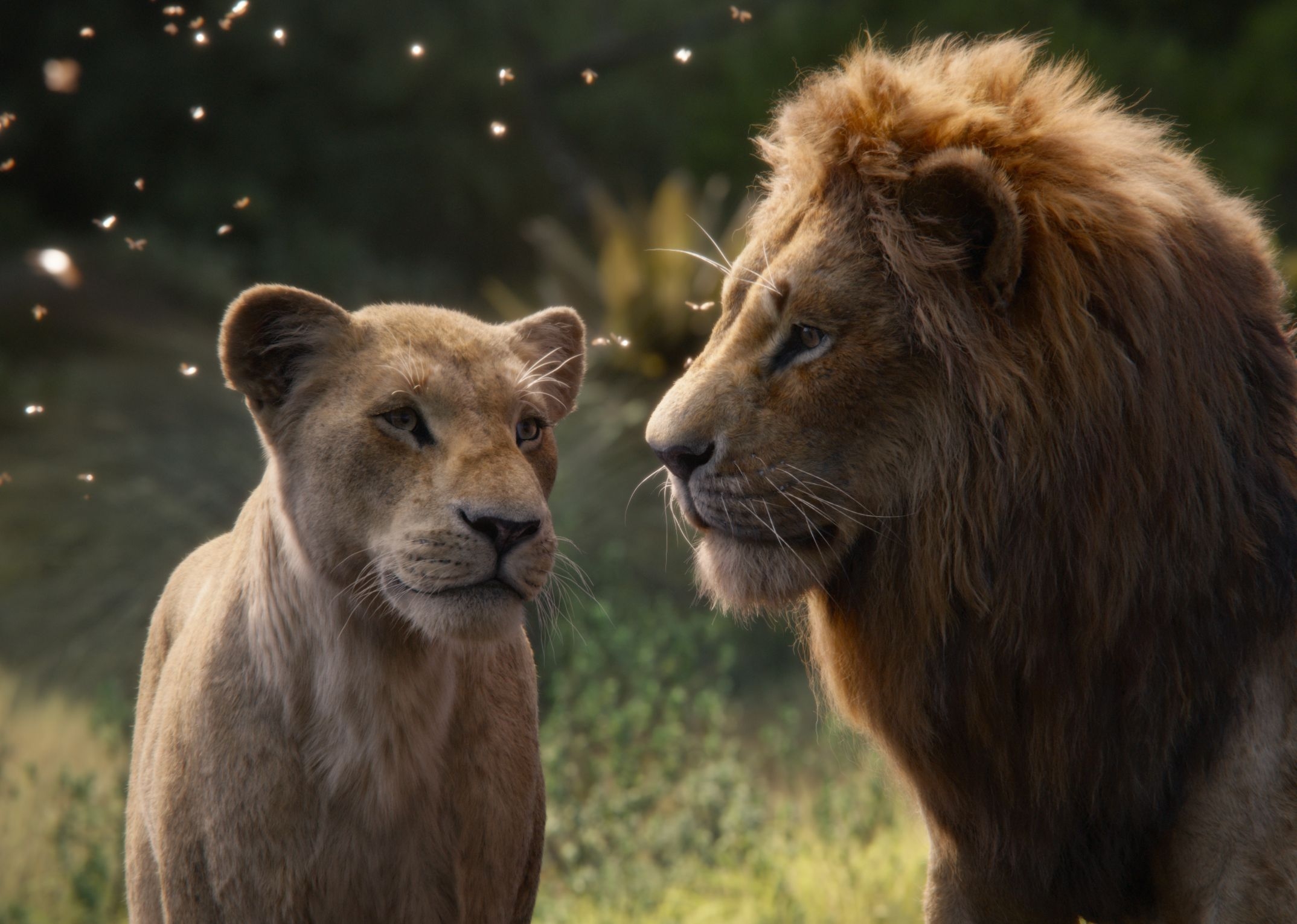 2150x1540 The Lion King 2019, iPhone, Desktop HD Background / Wallpaper (1080p, 4k) () (2020), Desktop