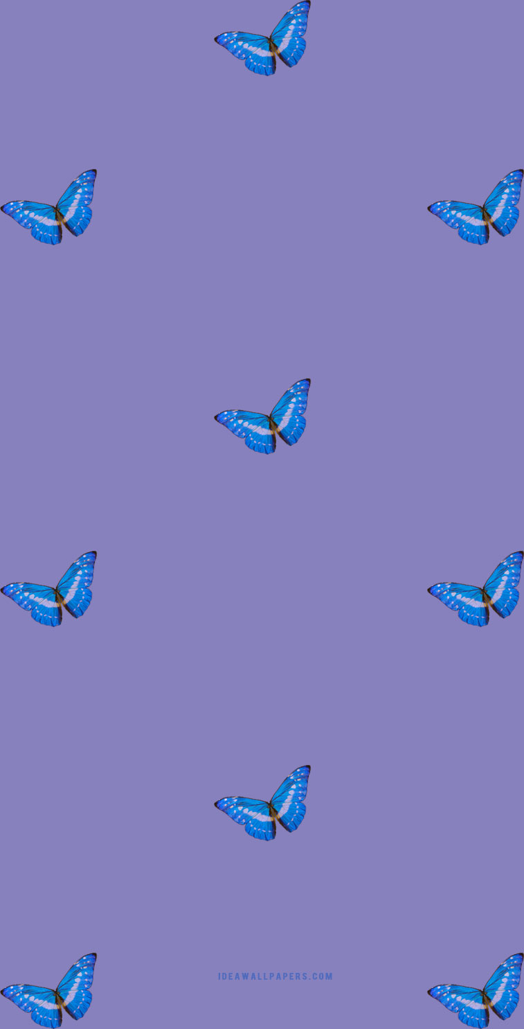 760x1490 Blue butterflies on purple background for phones Wallpaper, Phone