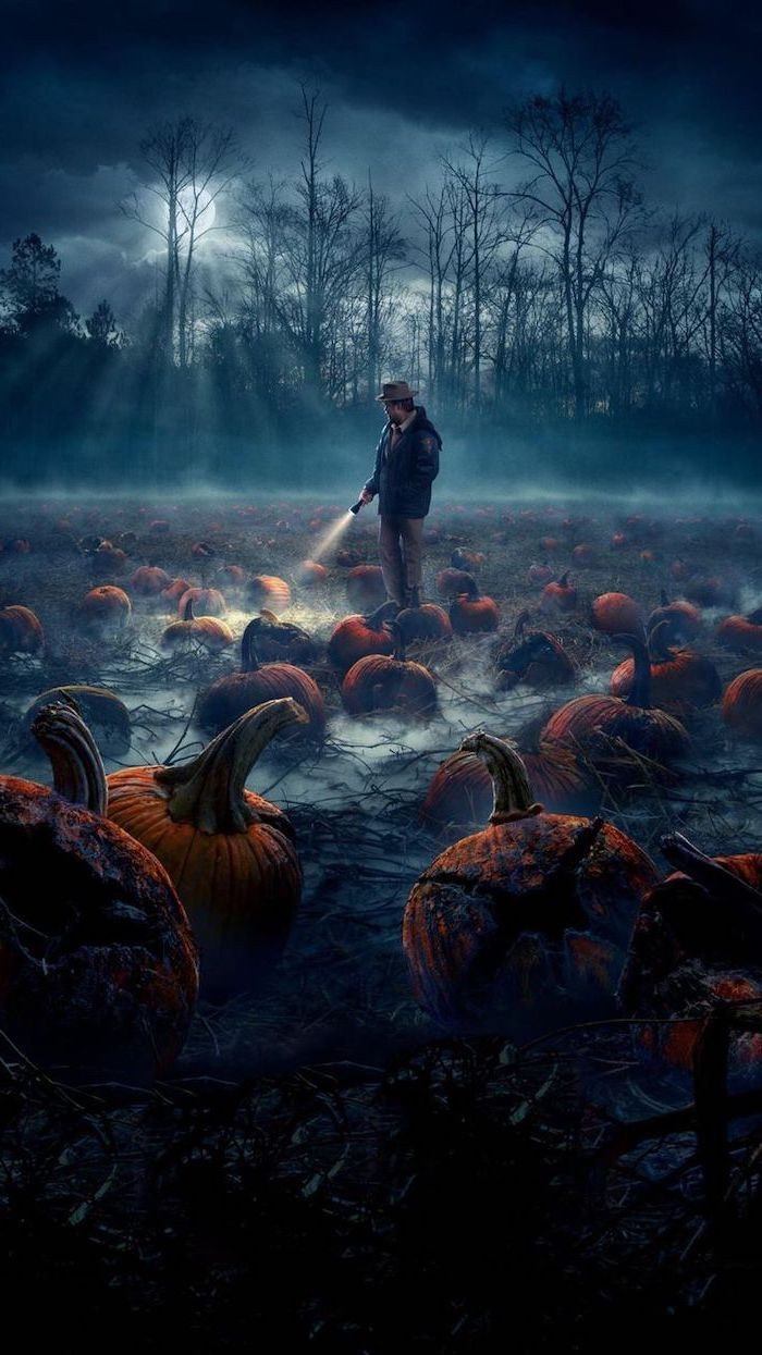 700x1250 Jim Hopper Standing In The Middle Of Pumpkin Patch Field Cute Stranger Things Wallpaper Datk Aesthetic. Stranger Things, Stranger, Stranger Things Wallpaper, Phone