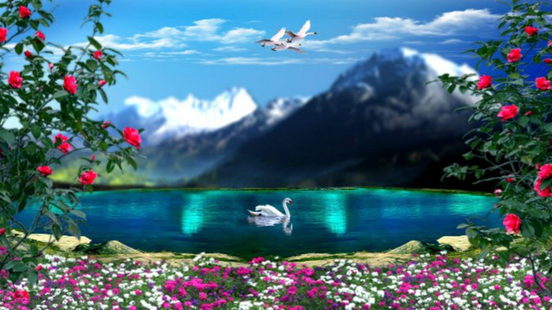 1920x1080 Swans Tag wallpaper: Spring Flowers Lakes Lake Landscape Swans, Desktop