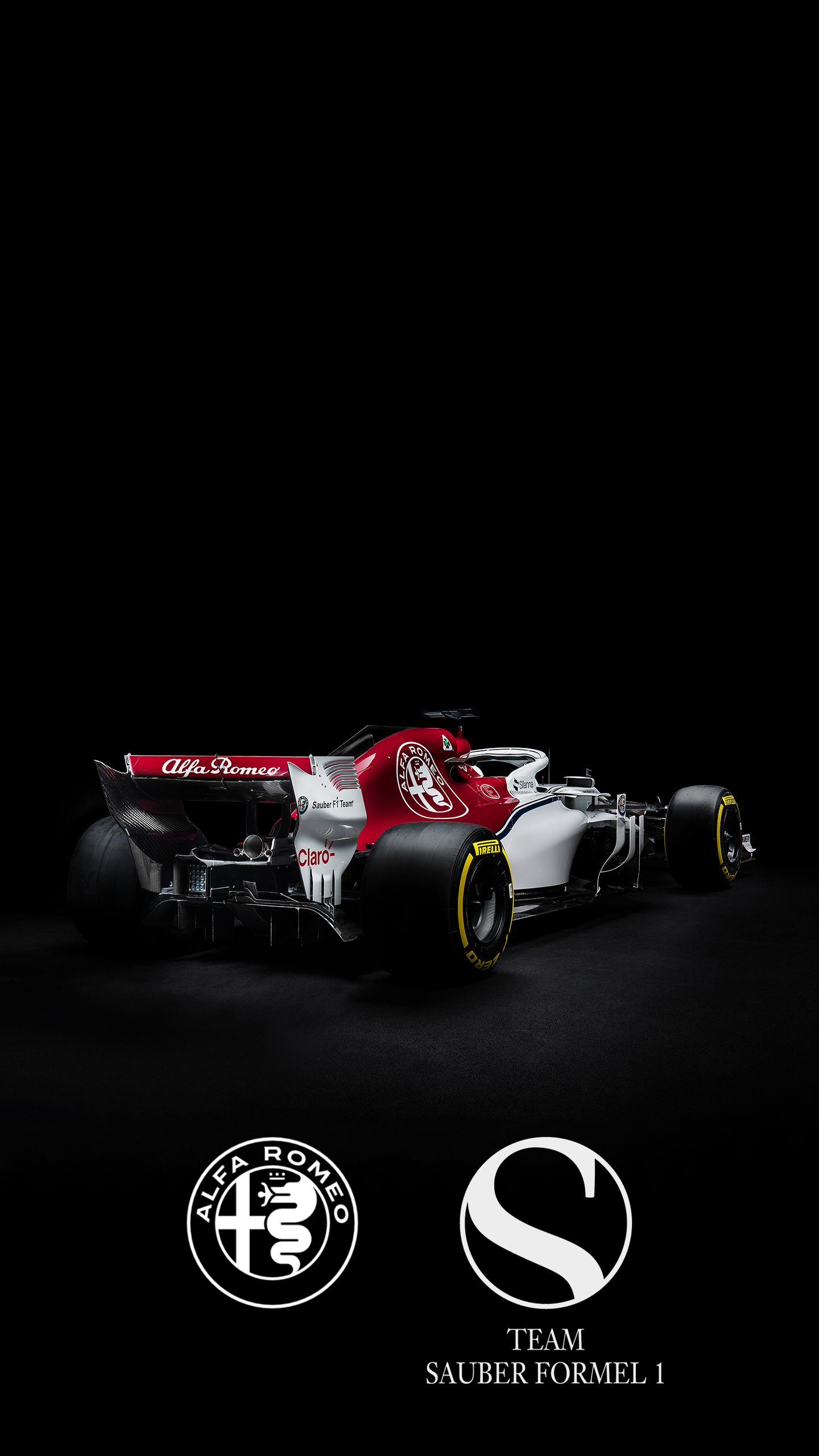 1440x2560 Haas F1 Wallpaper, Phone