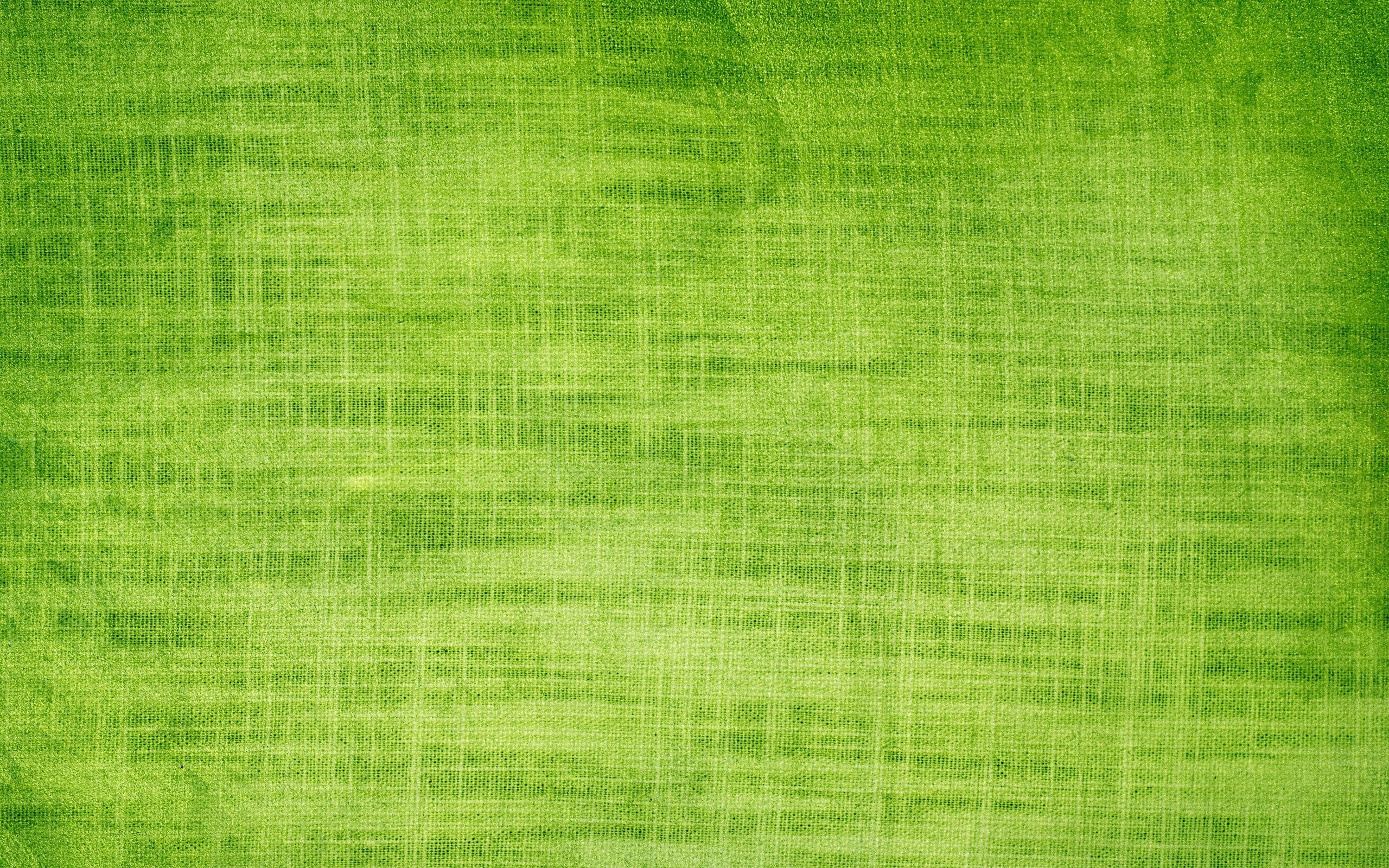 2560x1600 plain green background HD Wallpaper. Green. Plain wallpaper, Desktop