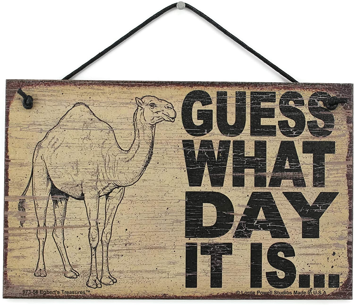 1500x1300 Egbert's Treasures 5x8 Vintage Style Sign Saying, Guess What Day IT is. Camel Hump Day Wednesday Decorative Fun Universal Household Signs from, Home & Kitchen, Desktop