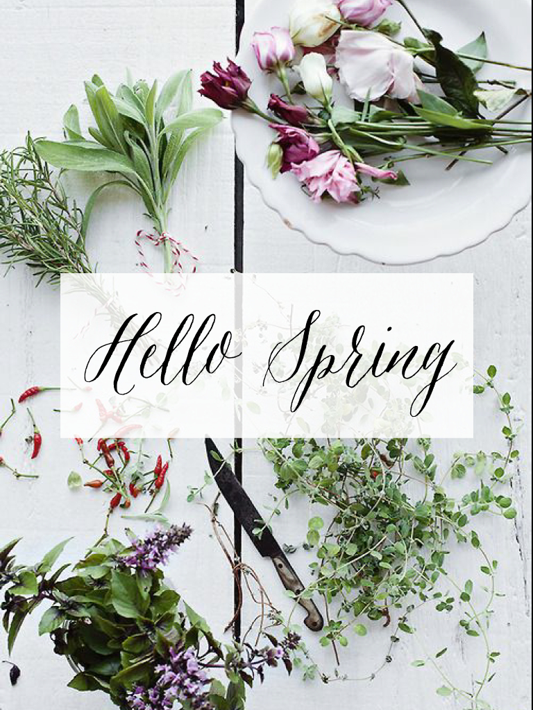 770x1030 Hello Spring Wallpaper, Phone