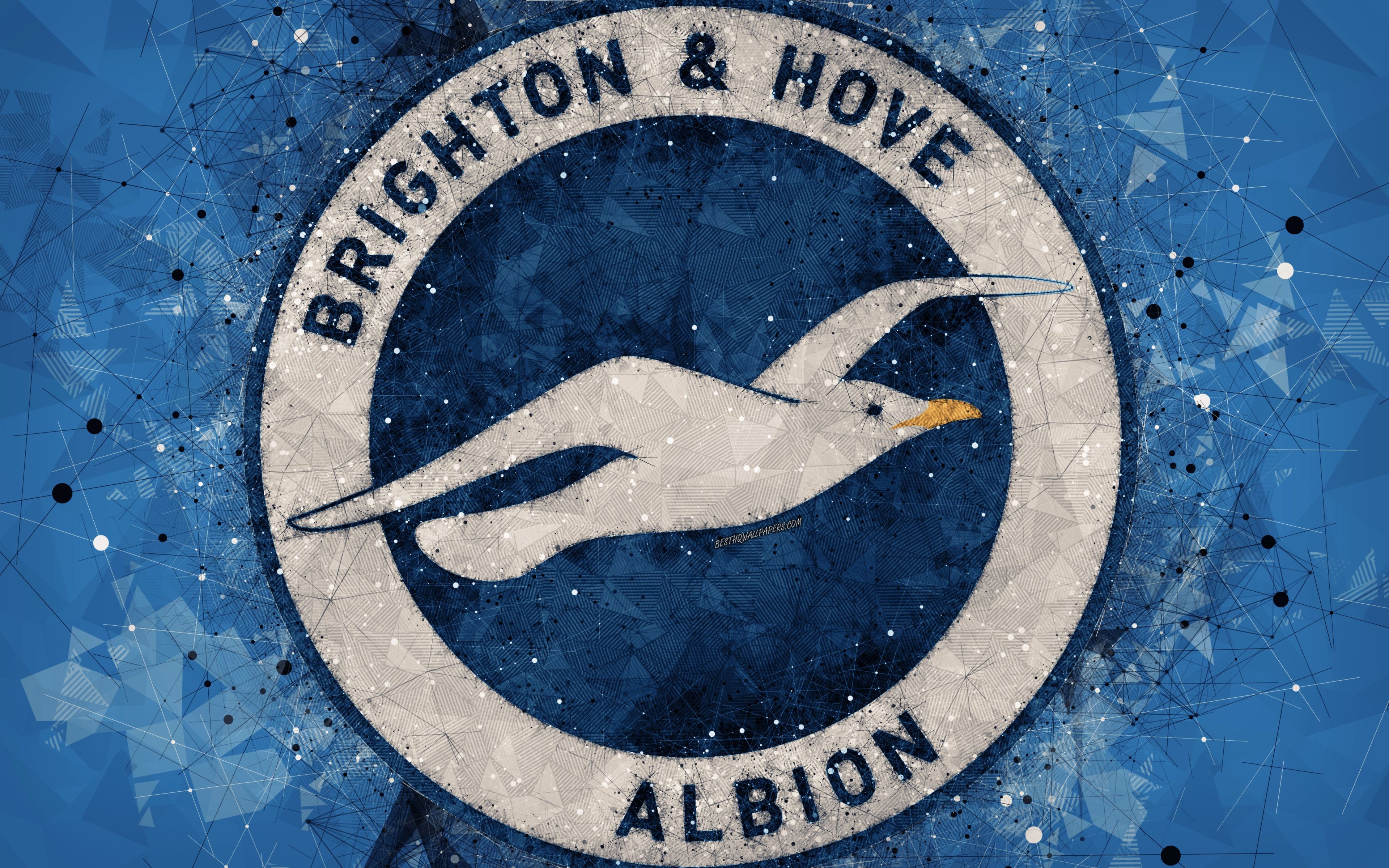 3840x2400 Download wallpaper Brighton and Hove Albion FC, 4k, logo, geometric, Desktop