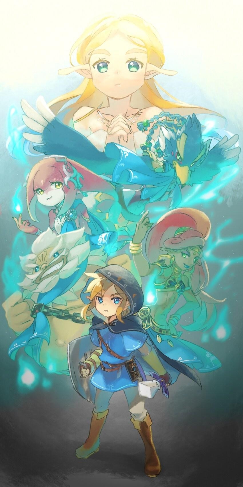 850x1700 Legend Of Zelda Botw Fanart Wallpaper & Background, Phone