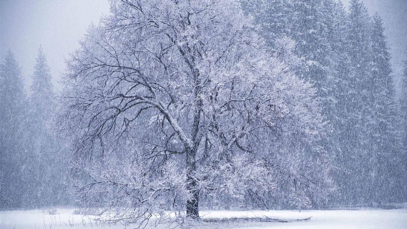 1370x770 Snow Falling Winter Snow Scenes Wallpaper Wallpaper, Desktop