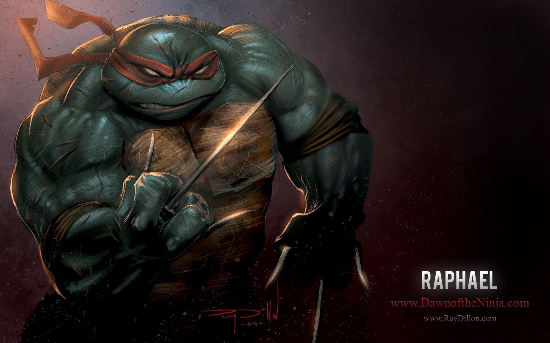 1920x1200 Ninja Turtles Raphael wallpaper, Desktop