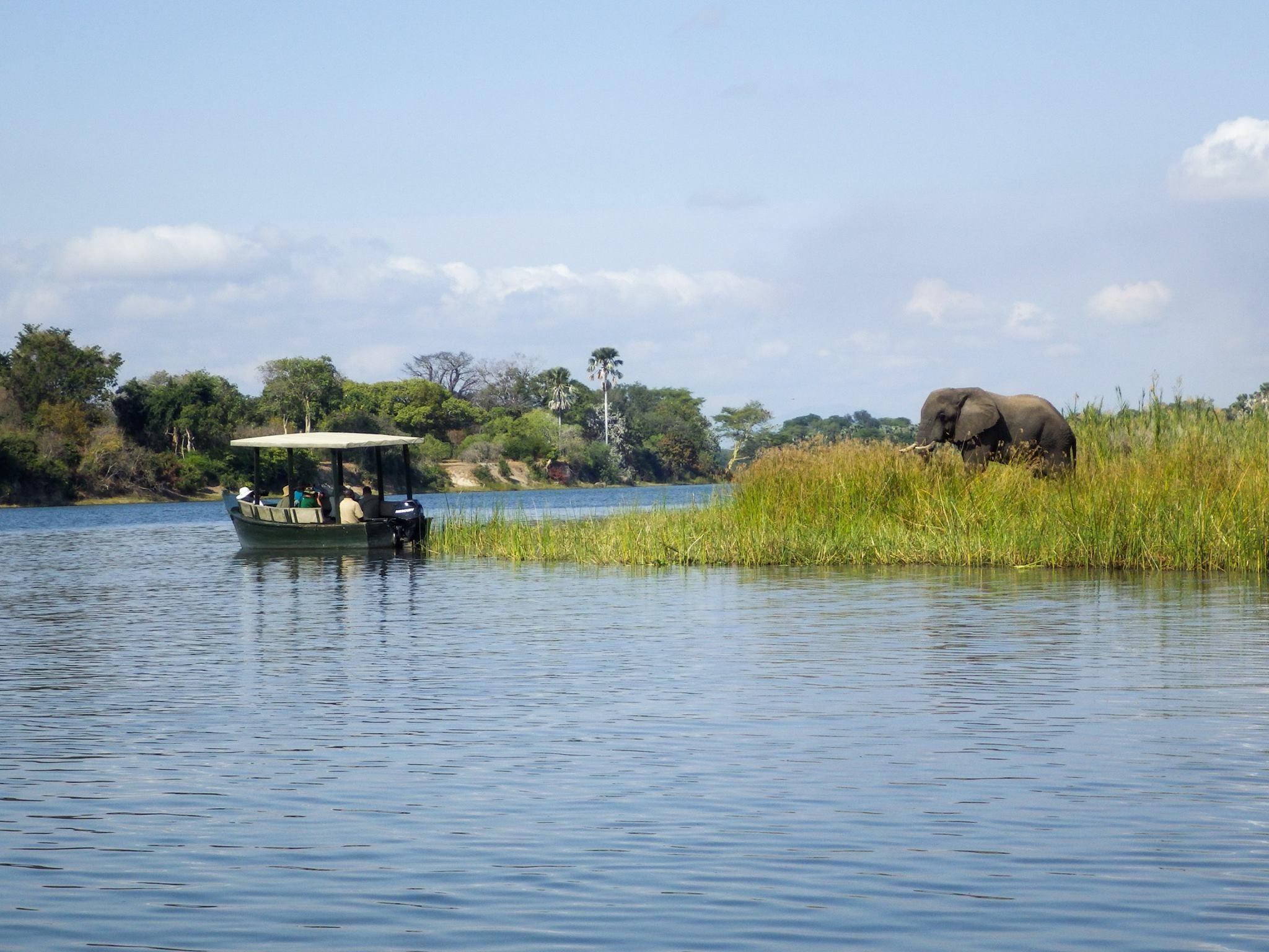 2050x1540 Central African Wilderness Safaris, Desktop