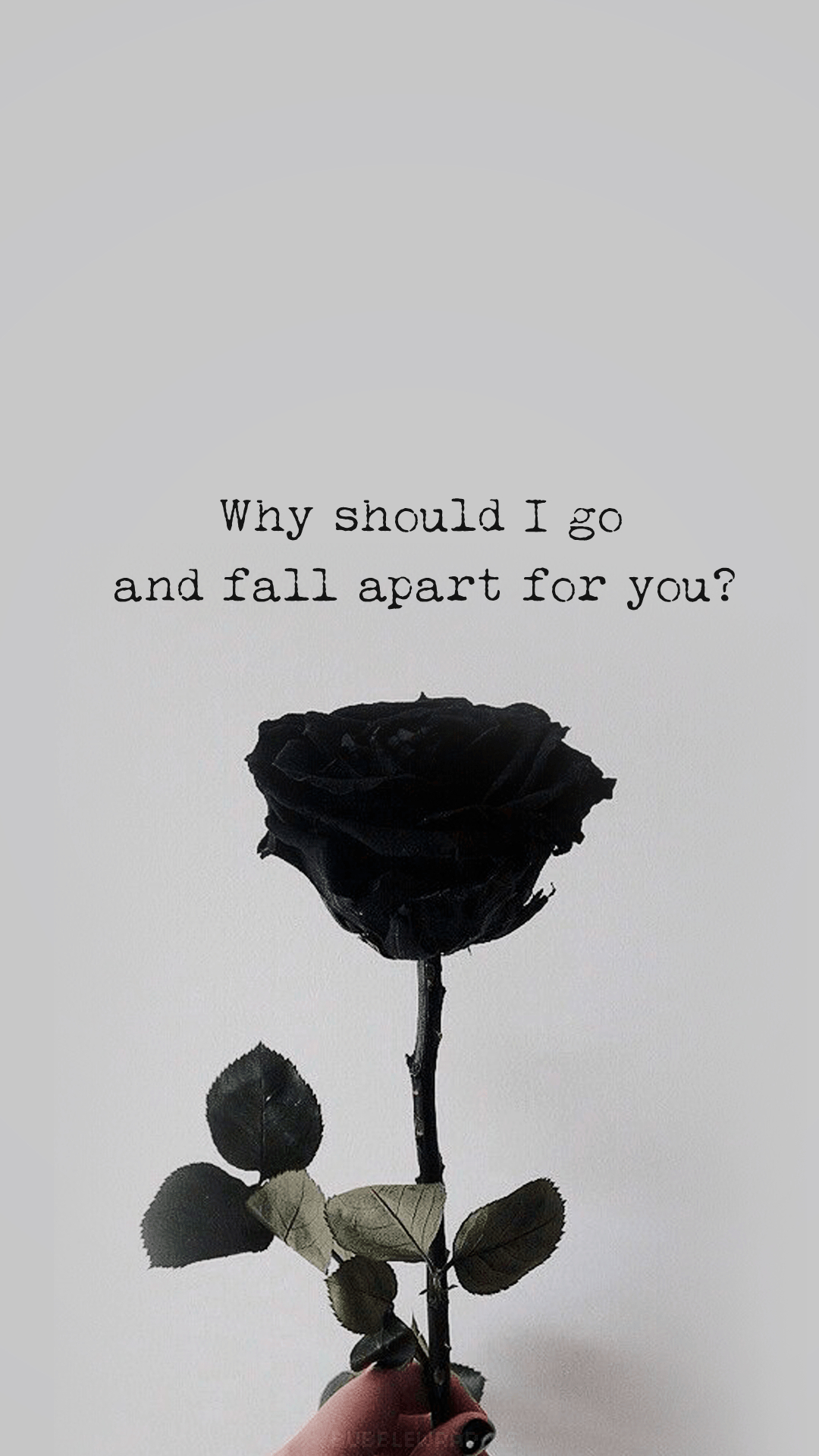 1080x1920 Black Rose Aesthetic Wallpaper, Phone