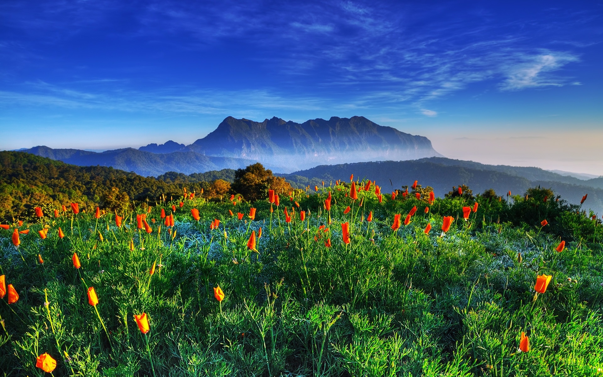 1920x1200 Wallpaper Chiang Mai, Thailand, Chiang Dao Mountain, wildlife, Desktop