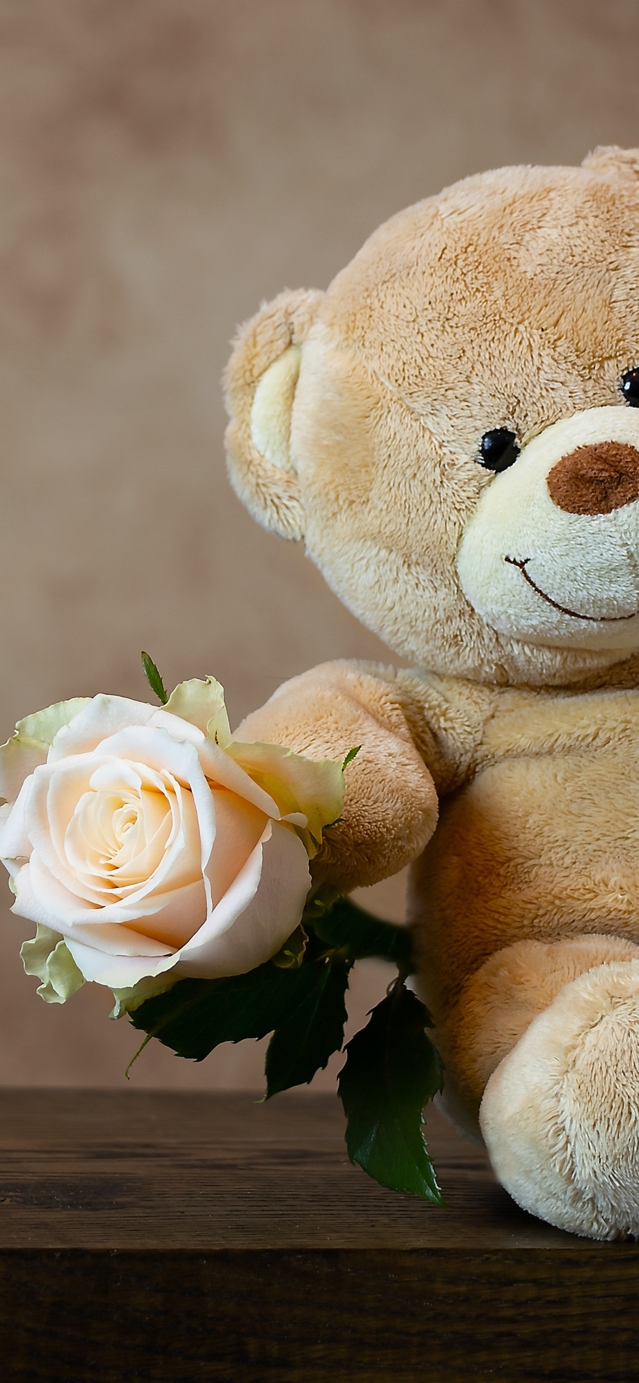 1290x2780 Teddy bear Wallpaper 4K, Rose, Cute toy, Gift, Phone