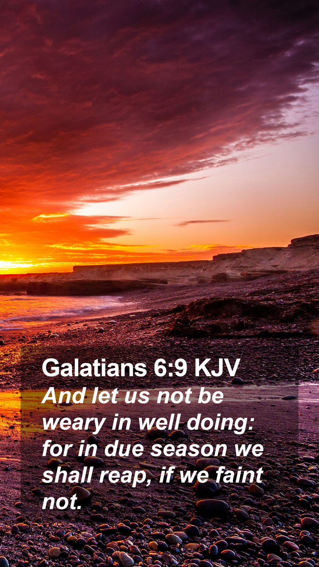 1080x1920 Galatians 6:9 KJV Mobile Phone Wallpaper let us not be weary in well doing: for, Phone