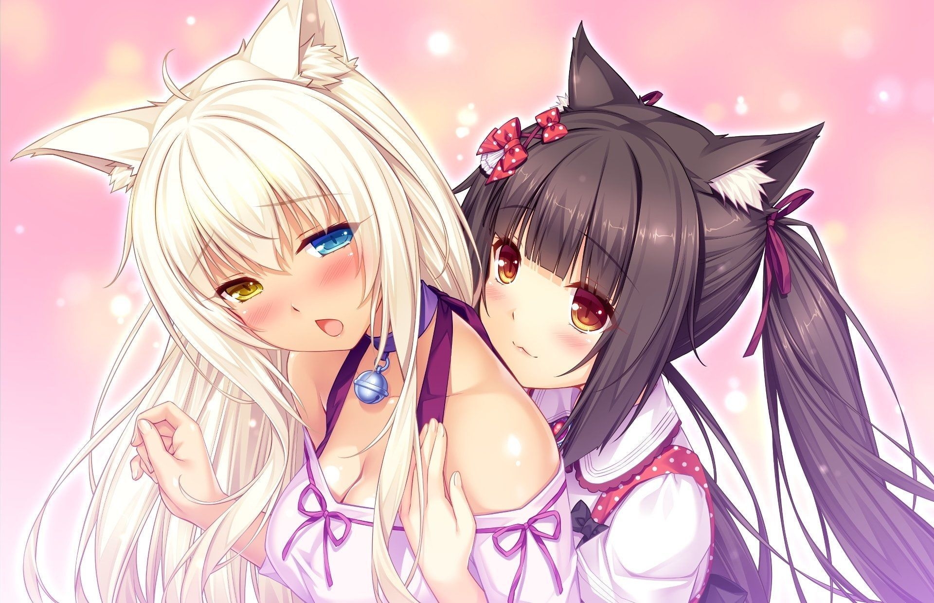 1920x1240 Anime #Nekopara Chocola (Nekopara) Coconut (Nekopara) P #wallpaper #hdwallpaper #desktop. Anime, Cat girl, Animal ears, Desktop