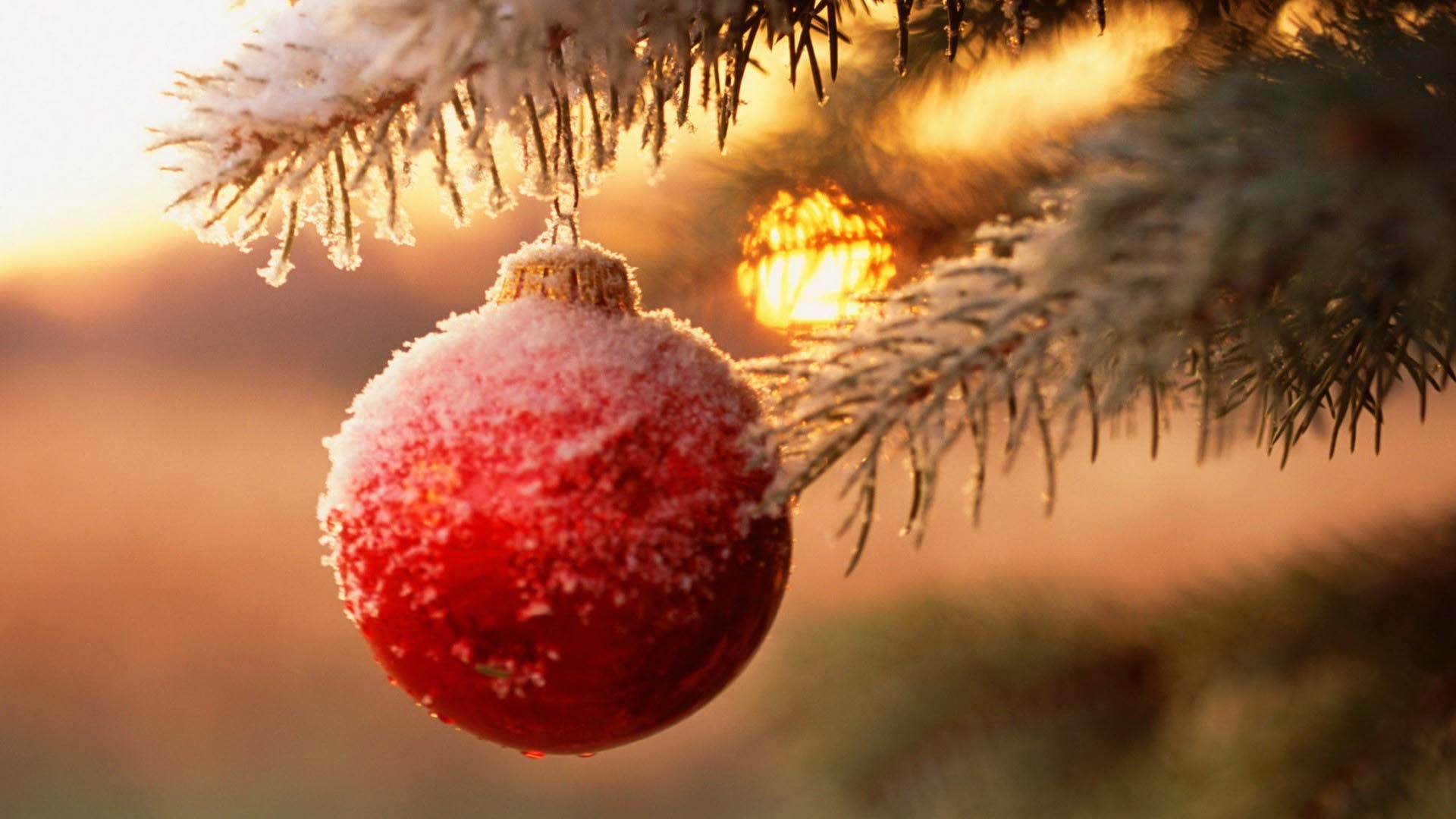 1920x1080 Snowy Christmas Ball in Tree HD Wallpaper FullHDWpp HD, Desktop