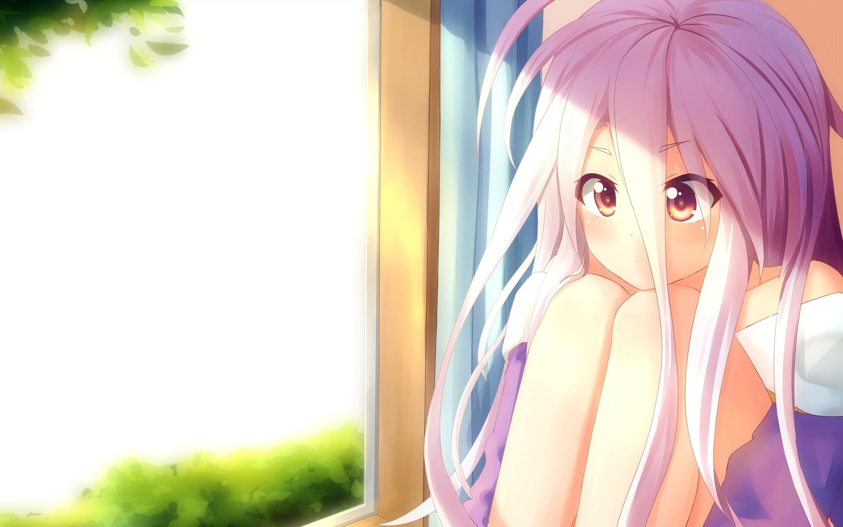 2900x1820 #anime girls, #anime, #window, #long hair, #loli, #Shiro, Desktop