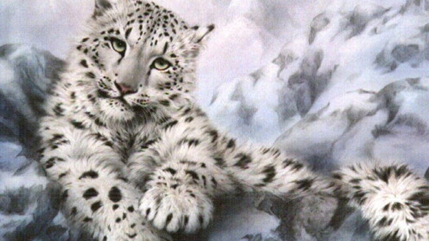 1370x770 snow leopard wallpaper download 2015, Desktop