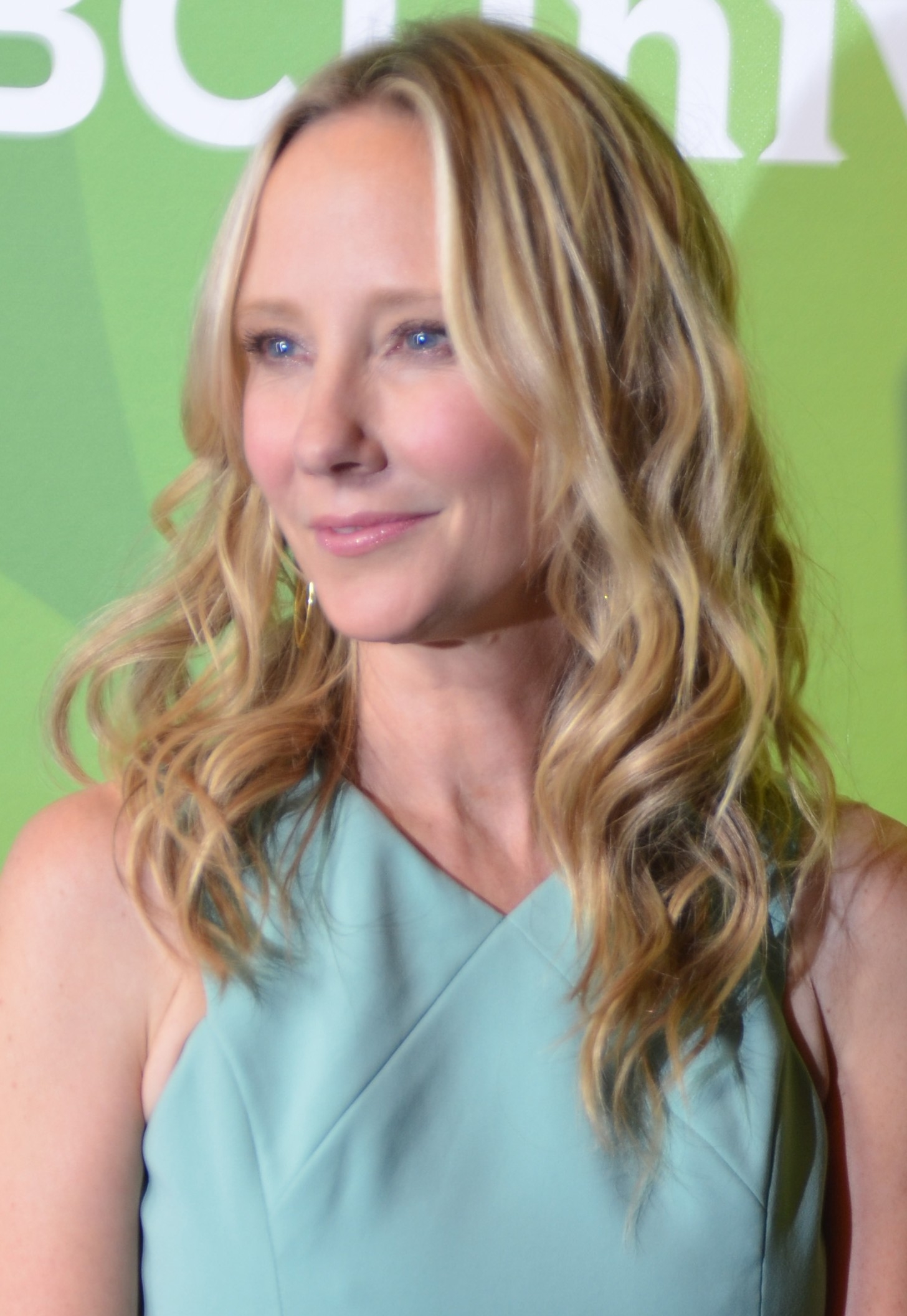 1460x2120 Anne Heche Profile, Photo, News, Bio, Phone