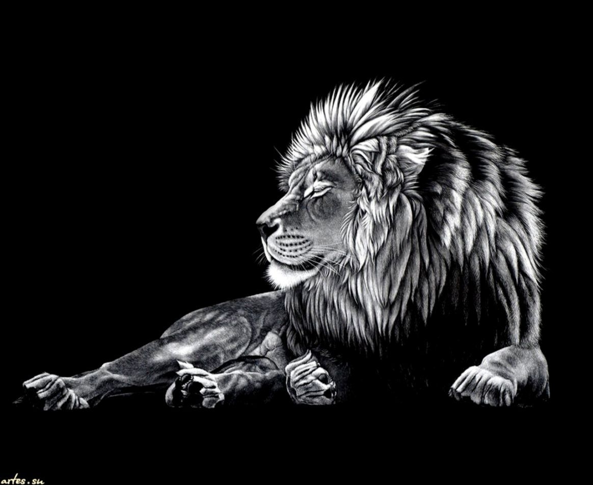 1170x960 Black Lion Cool Wallpaper Free Black Lion Cool Background, Desktop