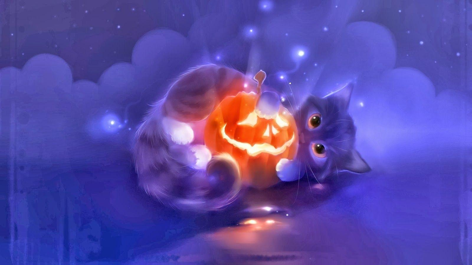 1600x900 Cute Cat Lantern Pumpkin Halloween x5 HD Wallpaper, Desktop