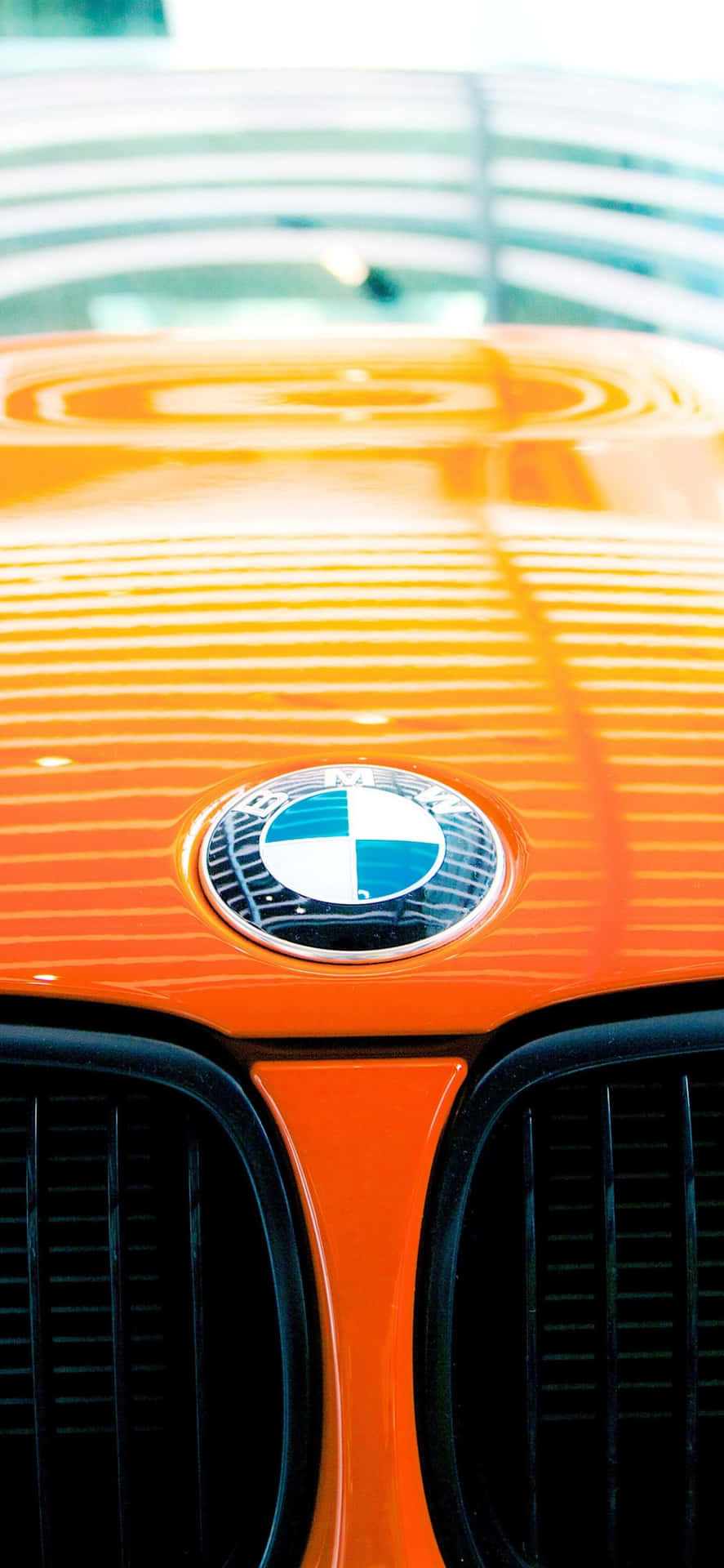 890x1920 Bmw Logo Wallpaper, Phone