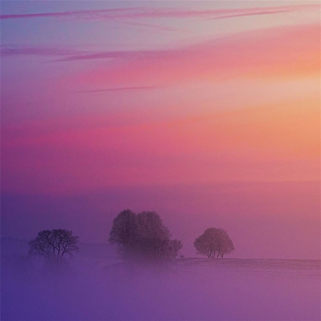 1030x1030 pastel morning 5k iPad Wallpaper Free Download, Phone