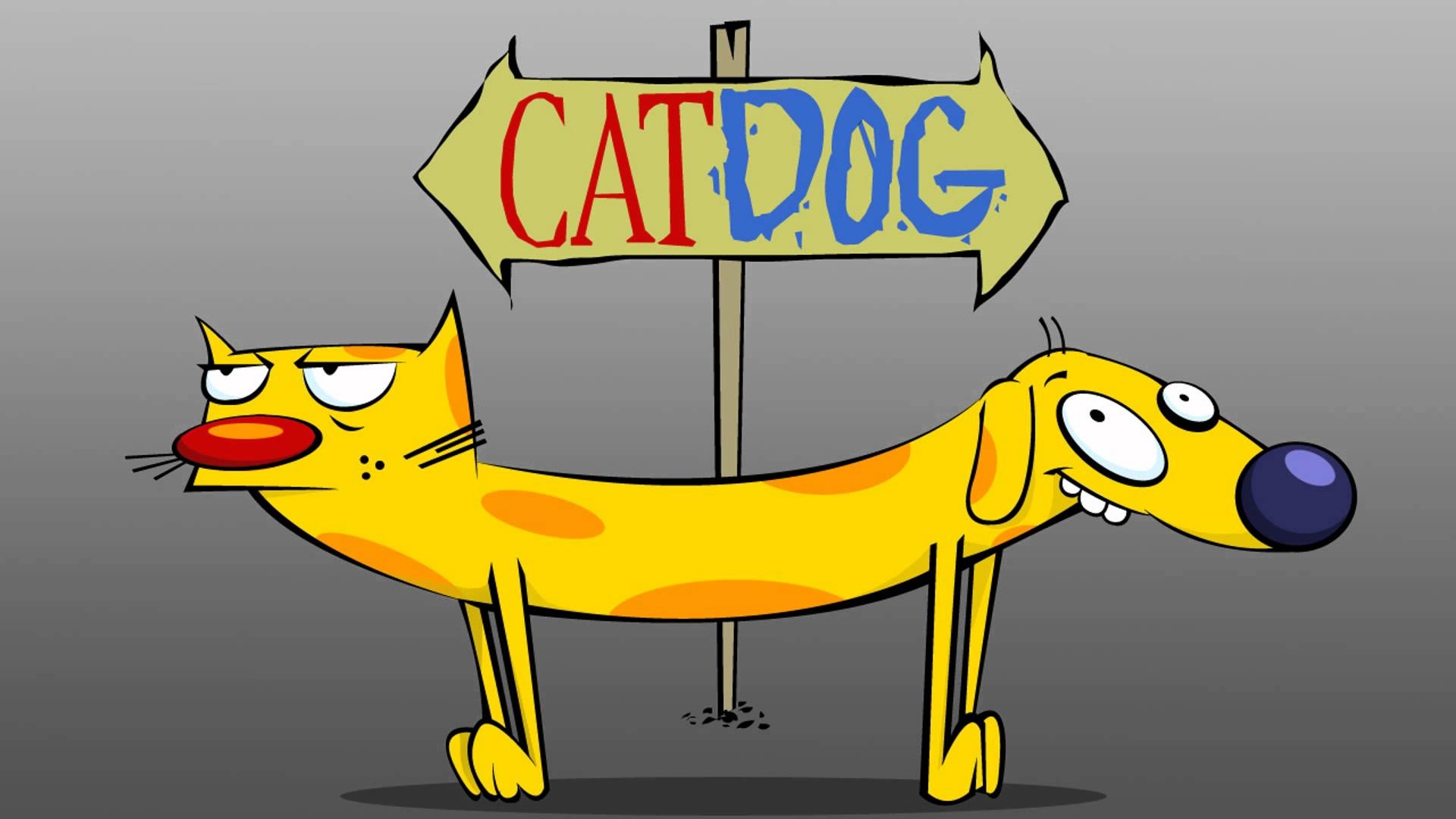 1920x1080 catdog wallpaper, Desktop