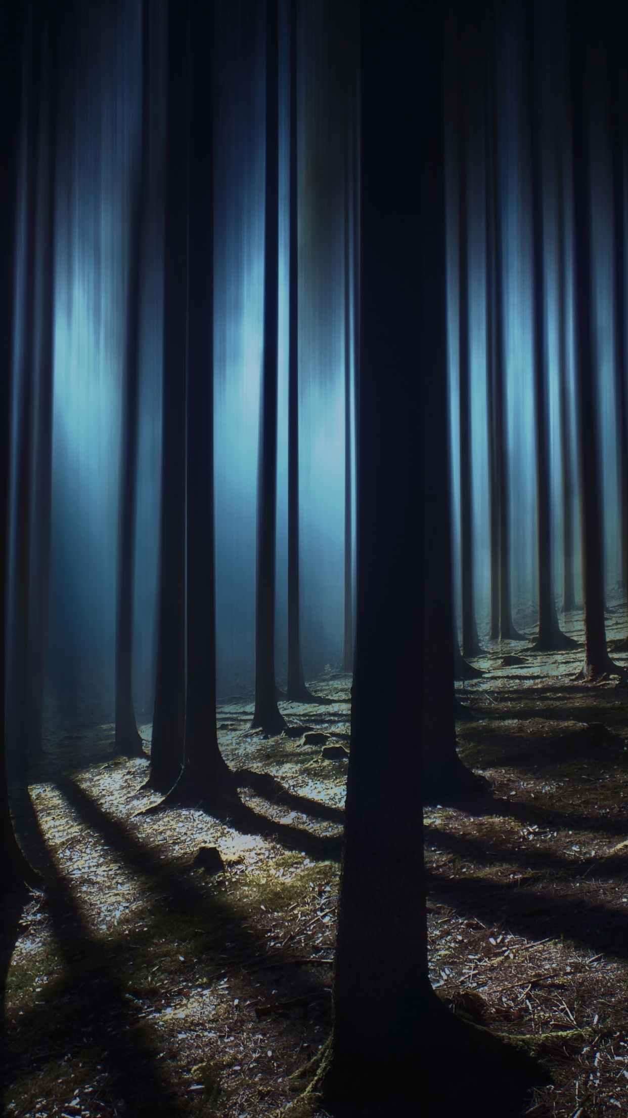 1250x2210 Dark Forest Wallpaper 4K, Woods, Night time, Dark, Shadow, Phone