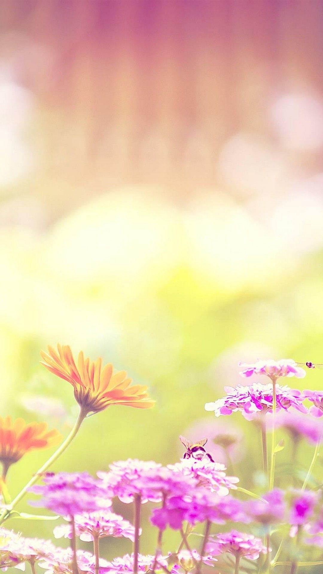 1080x1920 Hello Spring Wallpaper For Android Android Wallpaper, Phone