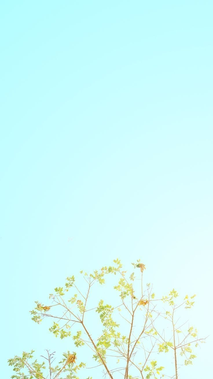 740x1310 Minimalist Spring Wallpaper Free Minimalist Spring Background, Phone