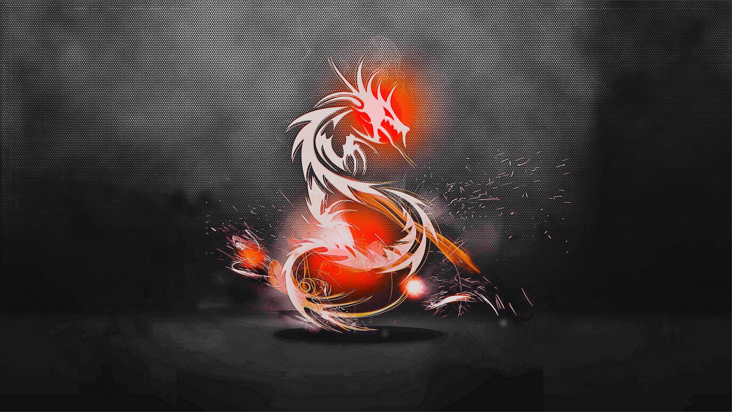 2560x1440 Red Dragon Wallpaper, Desktop