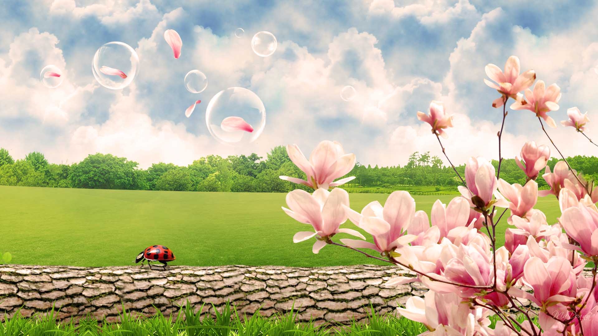 1920x1080 Spring Scenes Wallpaper, Desktop