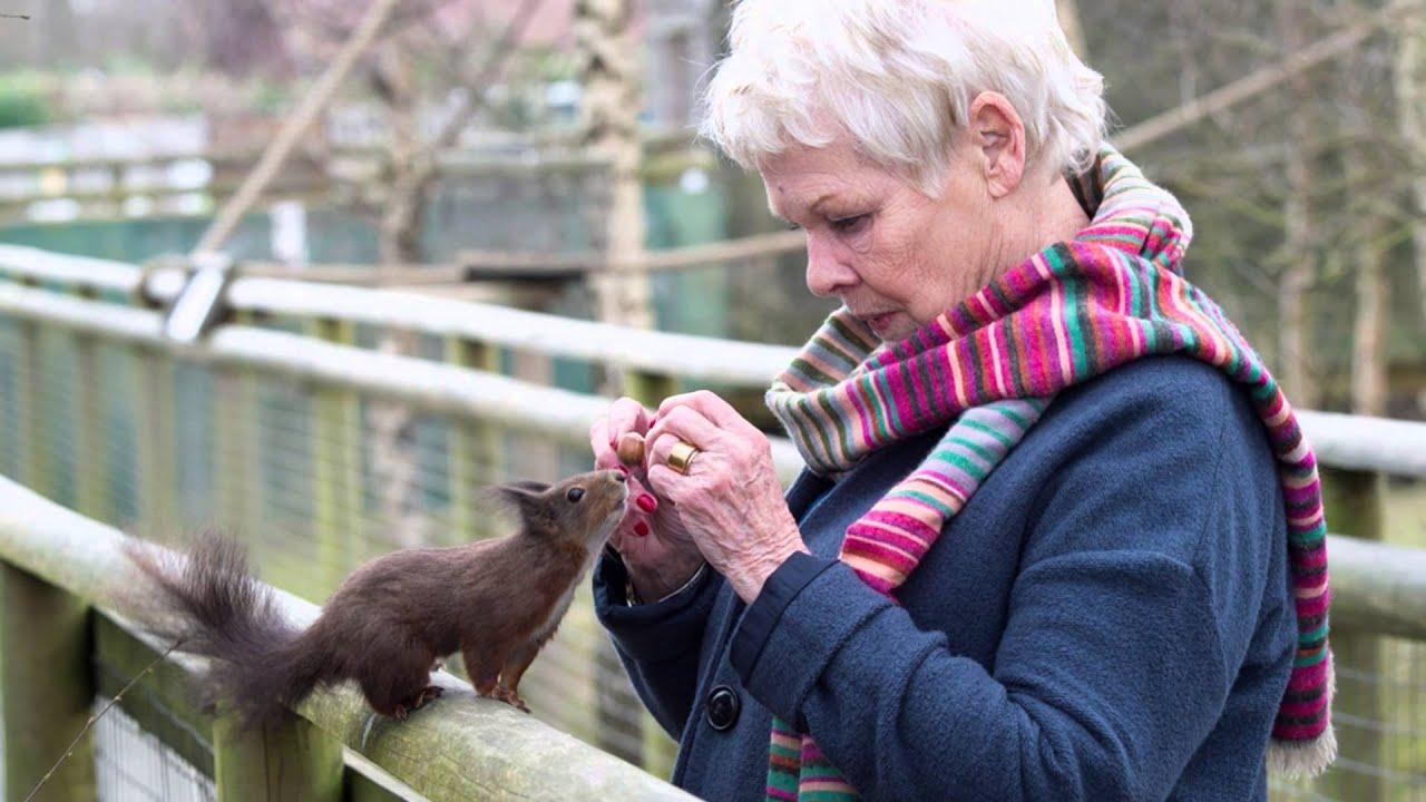 1280x720 Dame Judi Dench meets Surrey Life magazine, Desktop