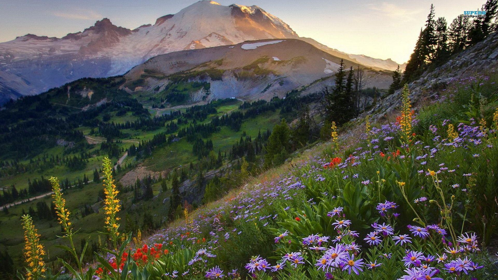 1920x1080 mount rainier national park. Mount Rainier National Park, Desktop