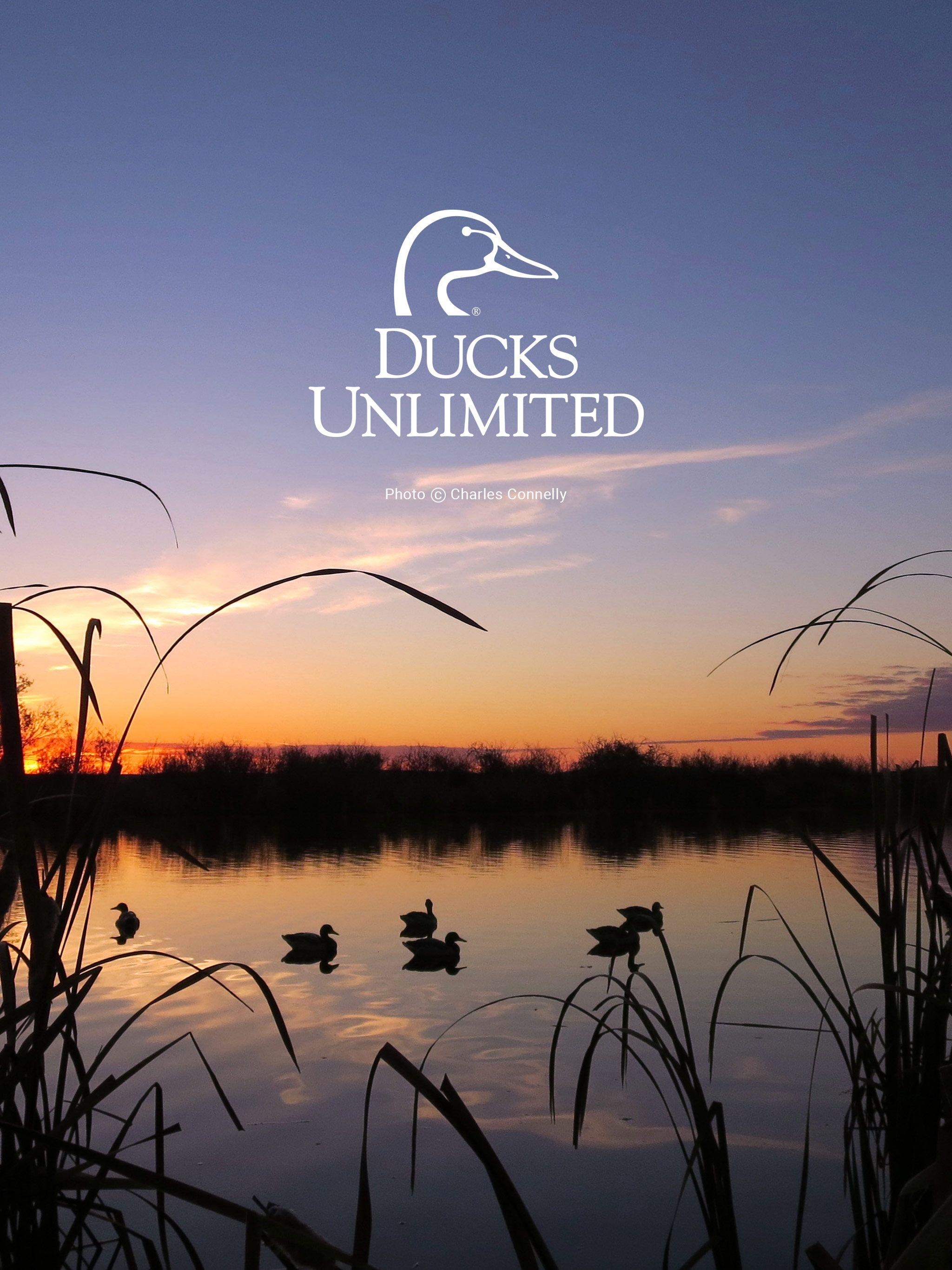 2050x2740 Ducks Unlimited Mobile Wallpaper, Phone