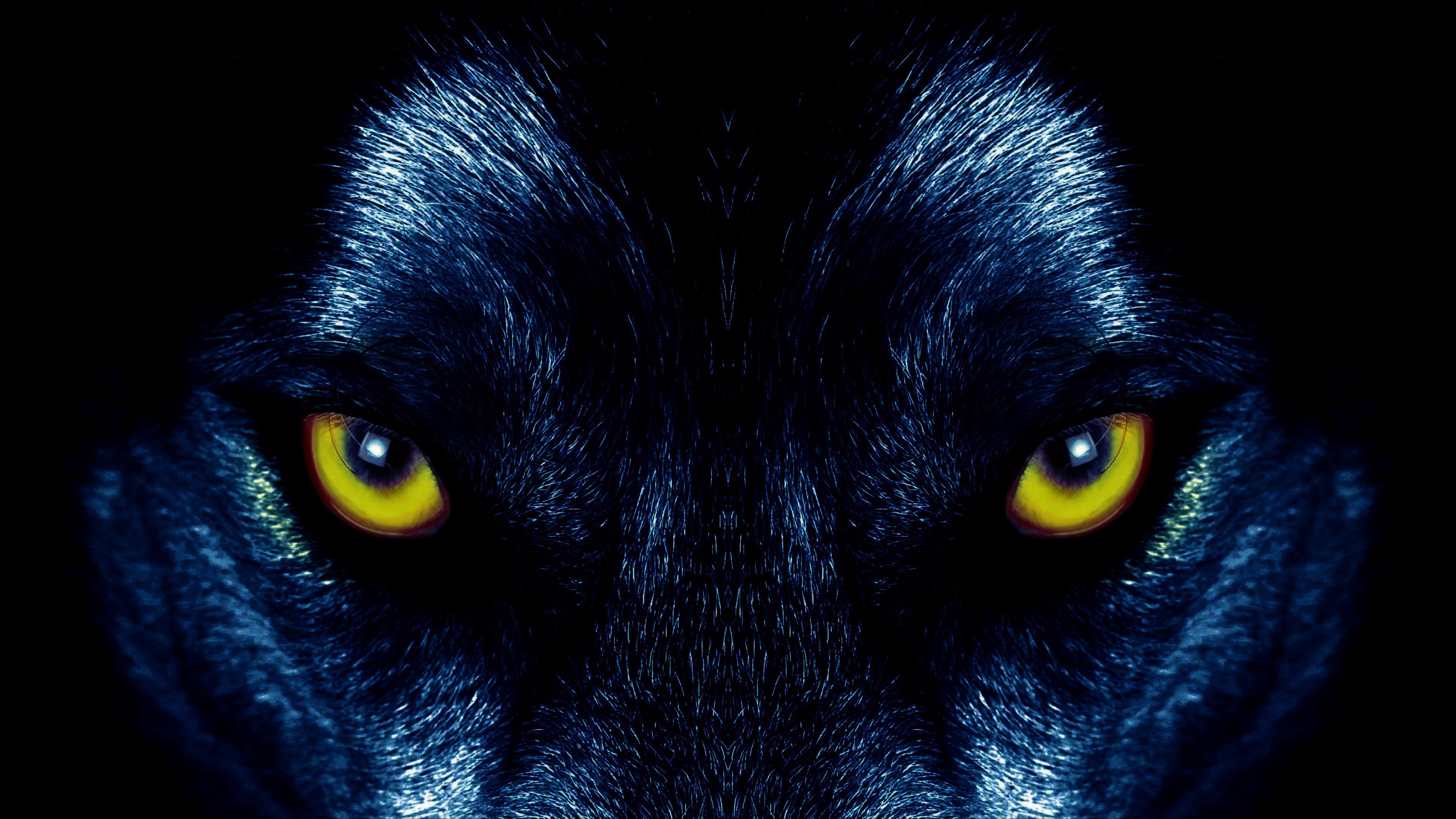 3840x2160 Download wallpaper  wolf, eyes, predator, sight 4k uhd 16:9 HD background, Desktop