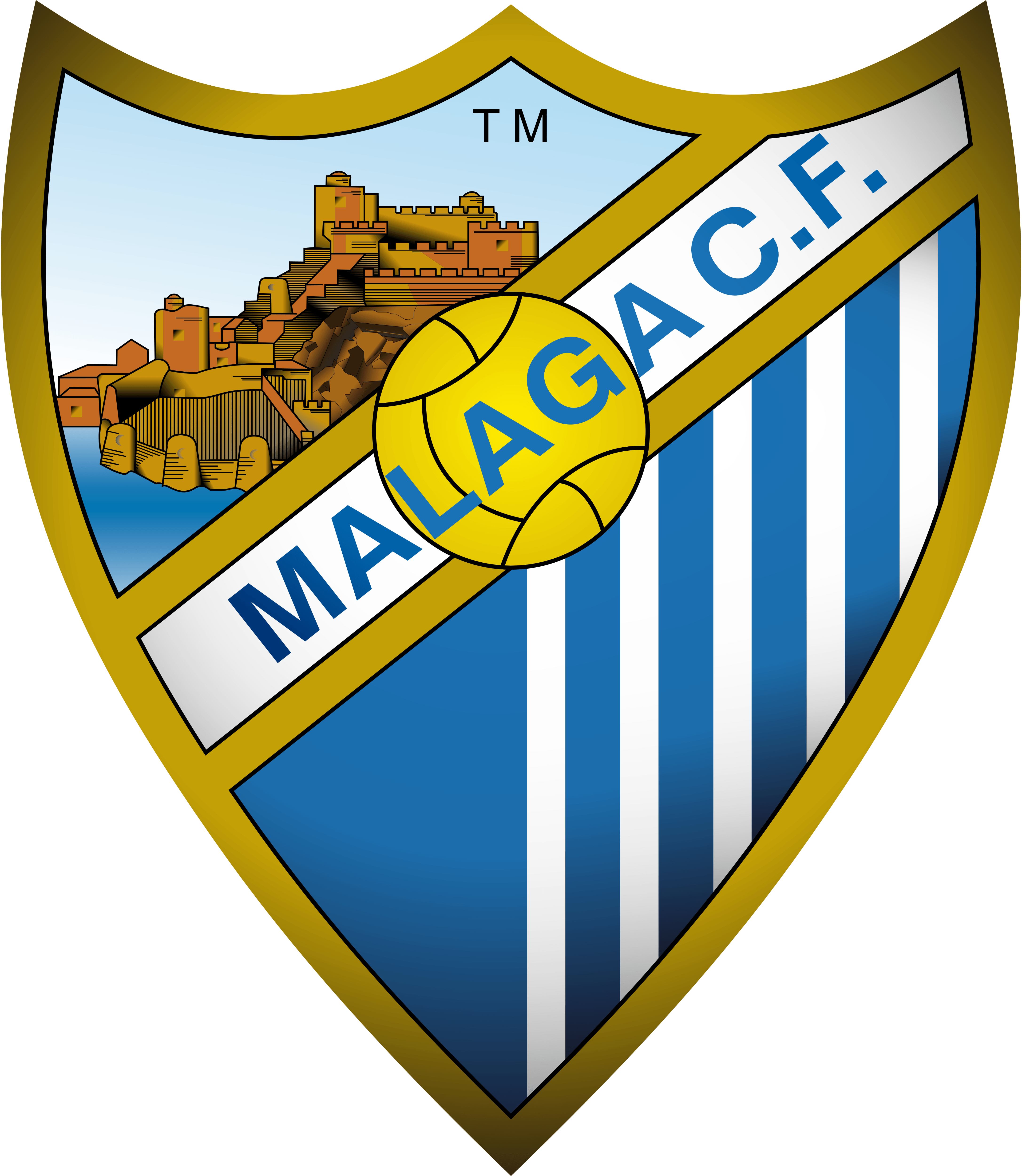 4350x5000 Málaga CF, Phone