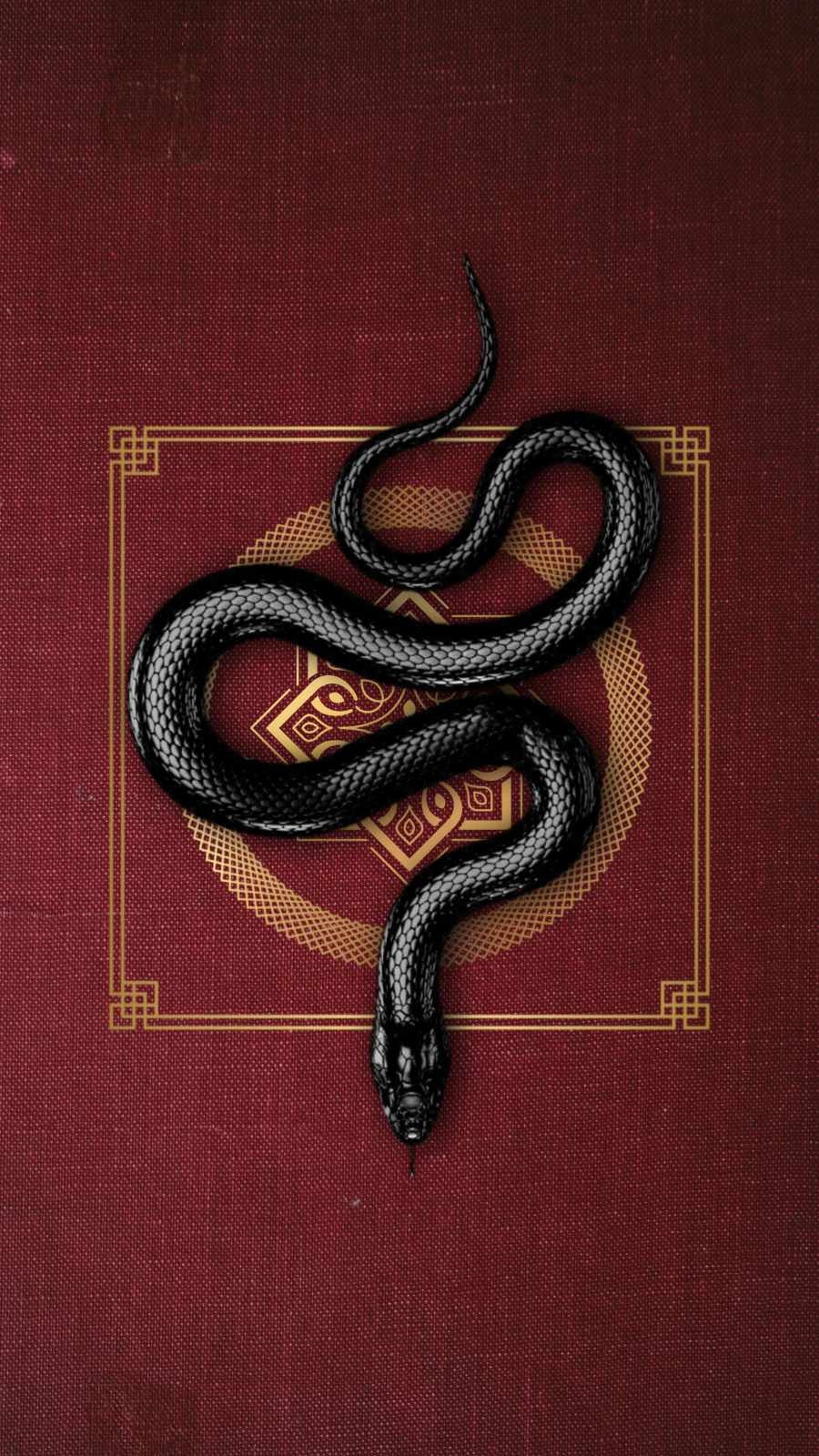 900x1600 Black Snake 4K iPhone Wallpaper, Phone