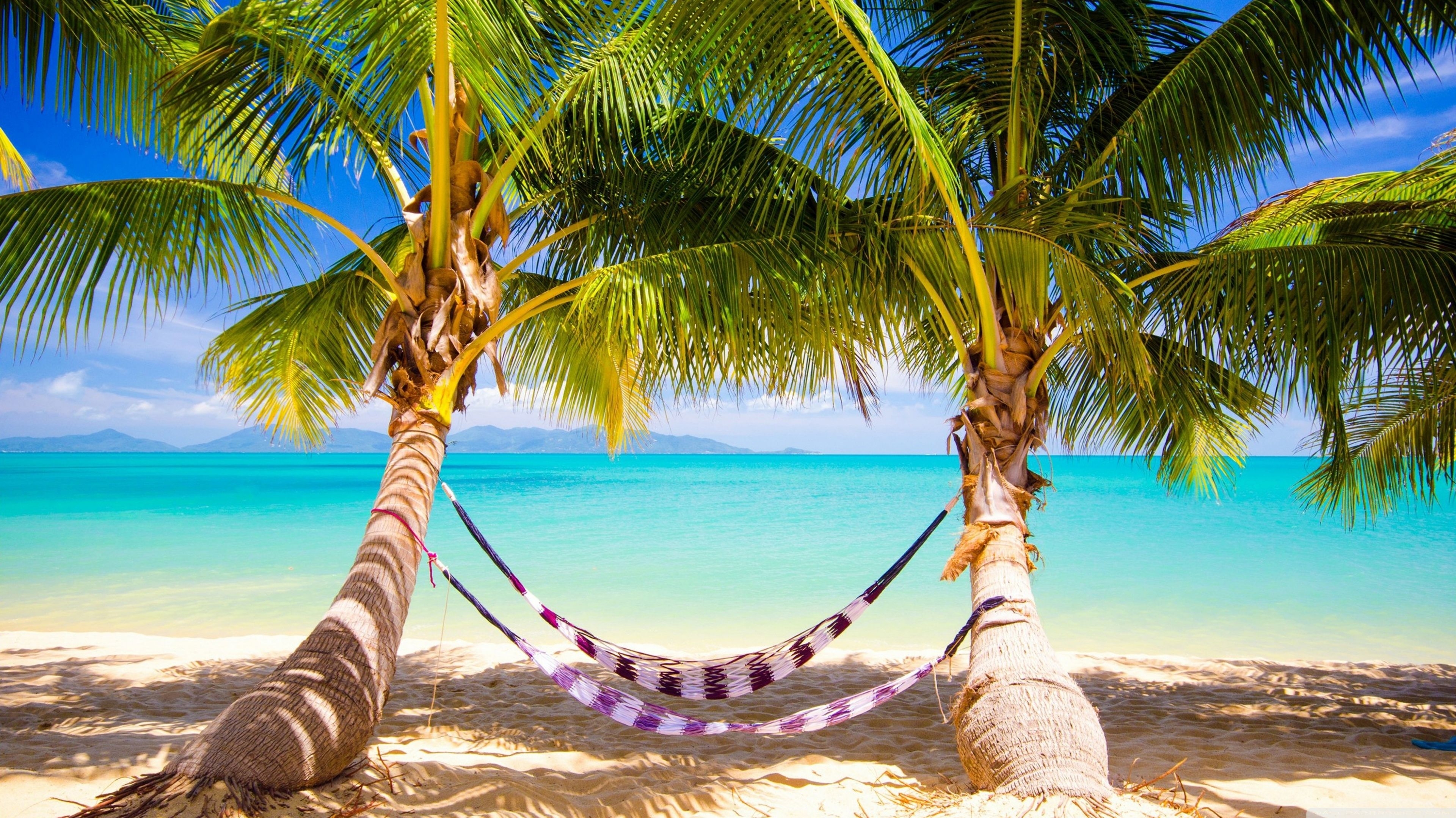 3840x2160 Tropical Beach Hammock Ultra HD Desktop Background Wallpaper for 4K UHD TV, Widescreen & UltraWide Desktop & Laptop, Tablet, Desktop